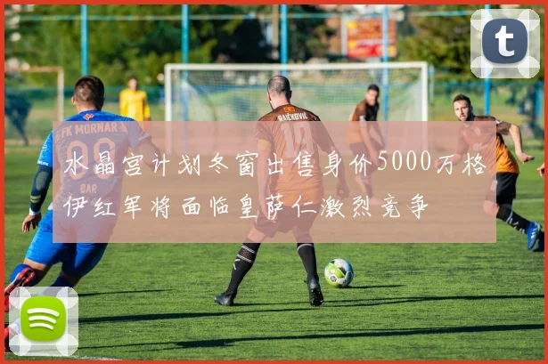 水晶宫计划冬窗出售身价5000万格伊红军将面临皇萨仁激烈竞争
